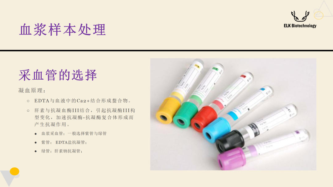 意大利贵宾会-贵宾会官方网站入口