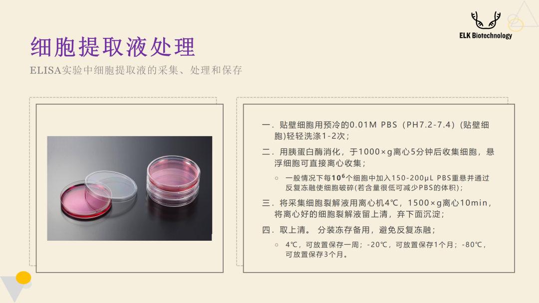 意大利贵宾会-贵宾会官方网站入口