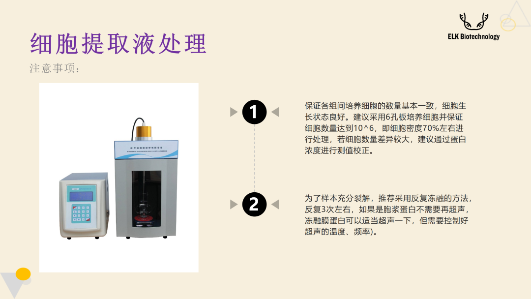 意大利贵宾会-贵宾会官方网站入口