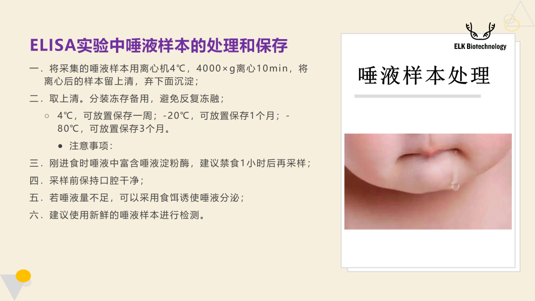 意大利贵宾会-贵宾会官方网站入口