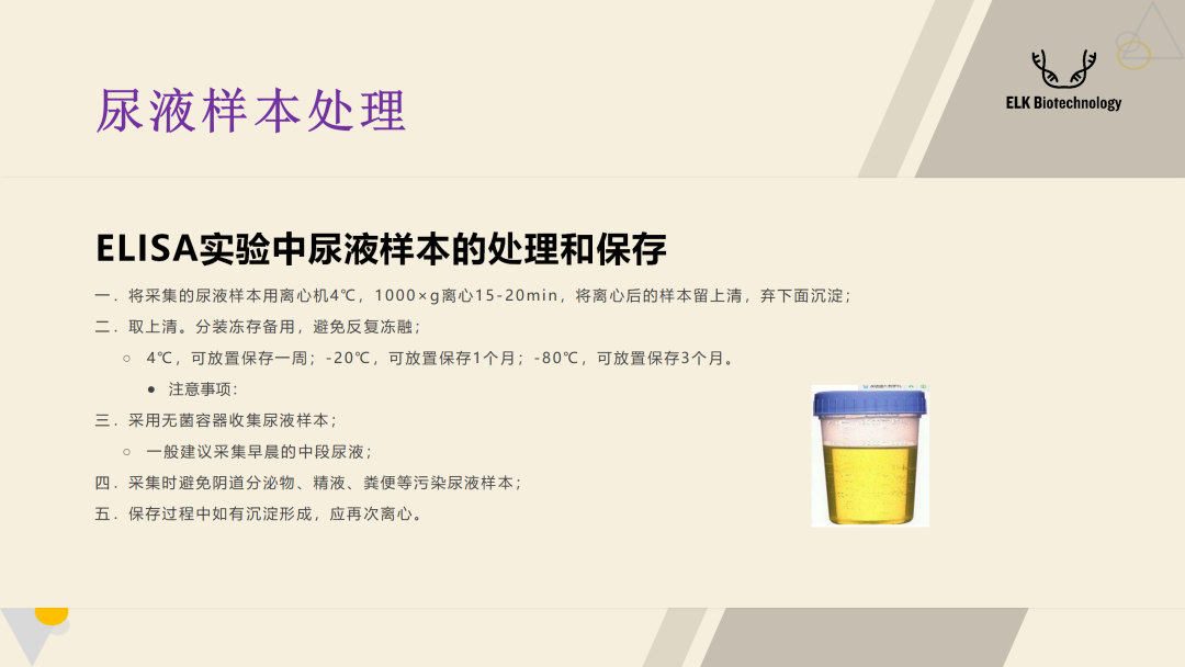 意大利贵宾会-贵宾会官方网站入口