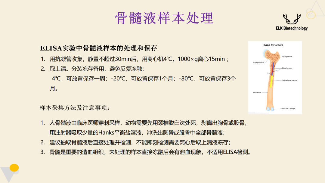 意大利贵宾会-贵宾会官方网站入口