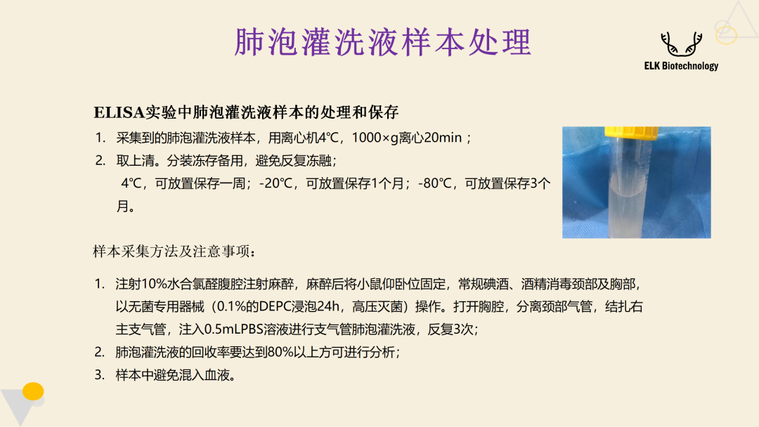 意大利贵宾会-贵宾会官方网站入口