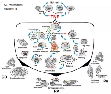 意大利贵宾会-贵宾会官方网站入口