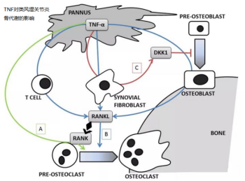 意大利贵宾会-贵宾会官方网站入口