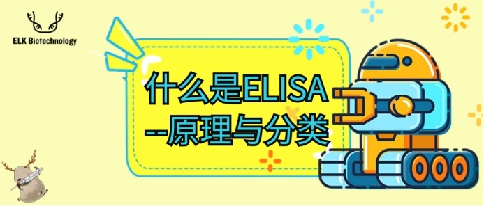 意大利贵宾会-贵宾会官方网站入口