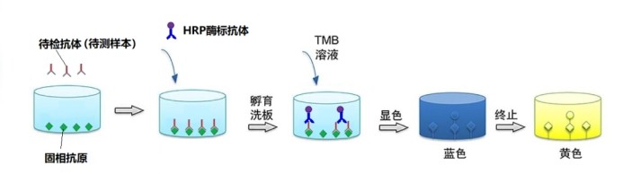 意大利贵宾会-贵宾会官方网站入口