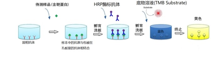 意大利贵宾会-贵宾会官方网站入口