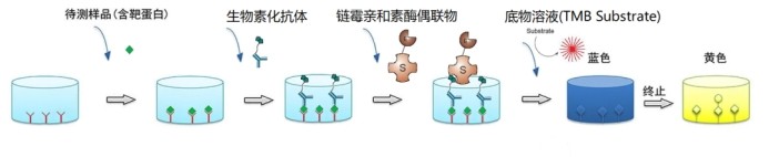 意大利贵宾会-贵宾会官方网站入口