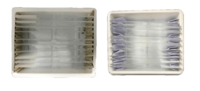 意大利贵宾会-贵宾会官方网站入口