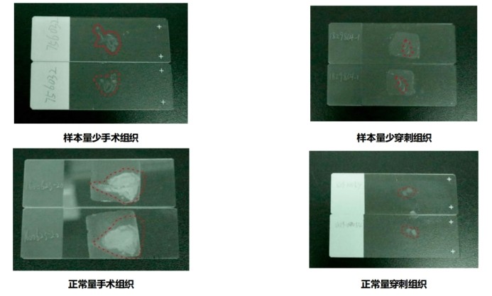 意大利贵宾会-贵宾会官方网站入口