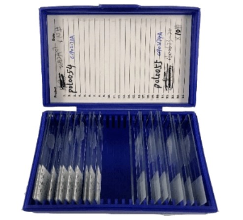 意大利贵宾会-贵宾会官方网站入口