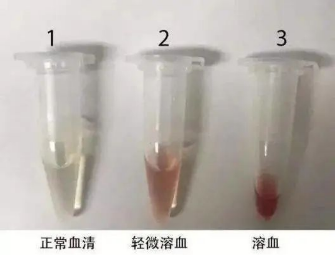 意大利贵宾会-贵宾会官方网站入口