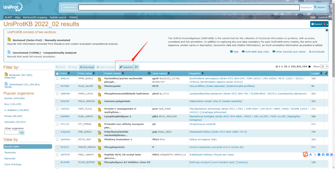 意大利贵宾会-贵宾会官方网站入口