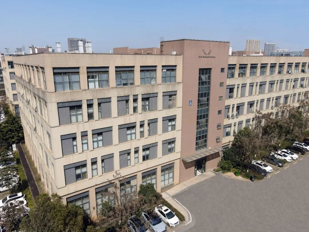 意大利贵宾会-贵宾会官方网站入口