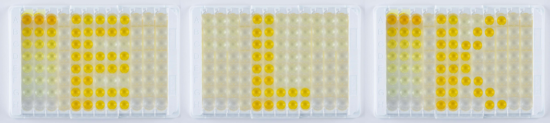 意大利贵宾会-贵宾会官方网站入口