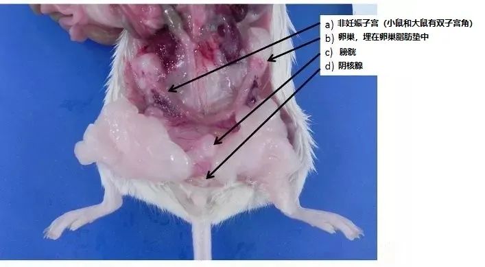 意大利贵宾会-贵宾会官方网站入口