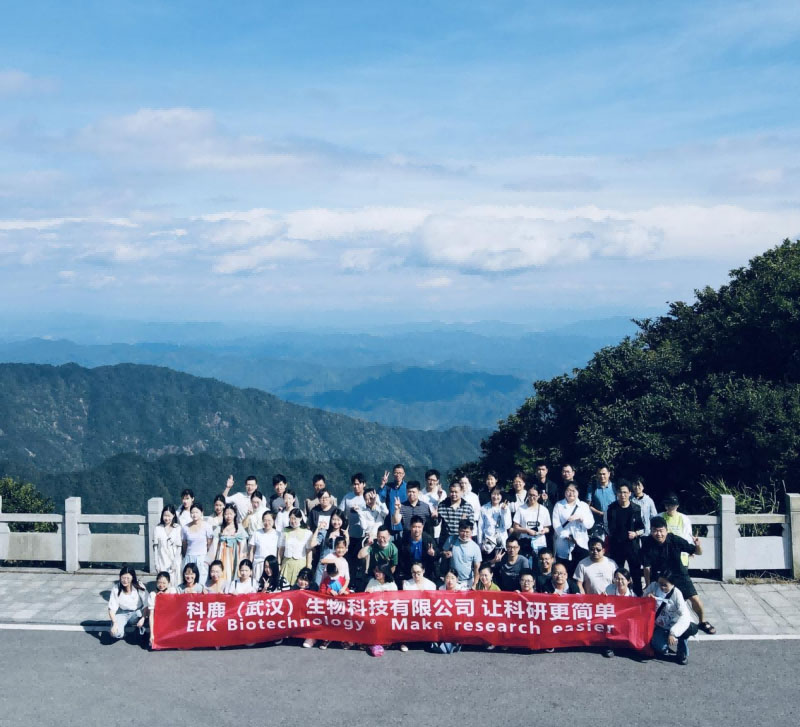 意大利贵宾会-贵宾会官方网站入口