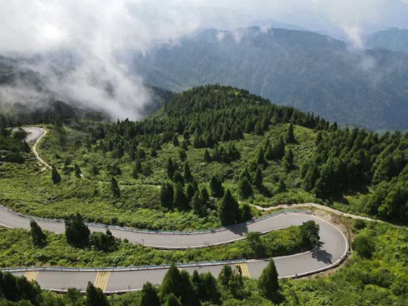 意大利贵宾会-贵宾会官方网站入口