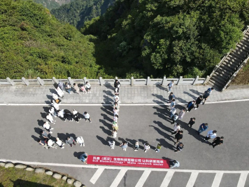 意大利贵宾会-贵宾会官方网站入口