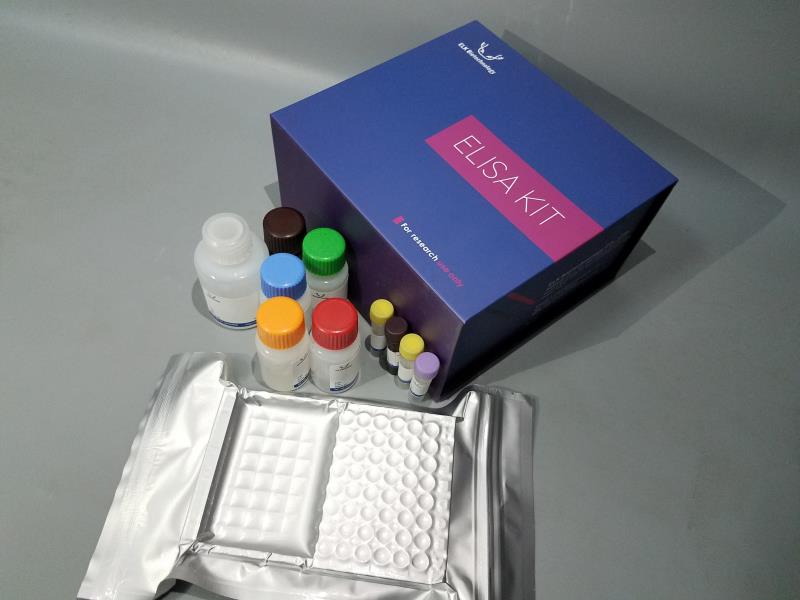 意大利贵宾会-贵宾会官方网站入口