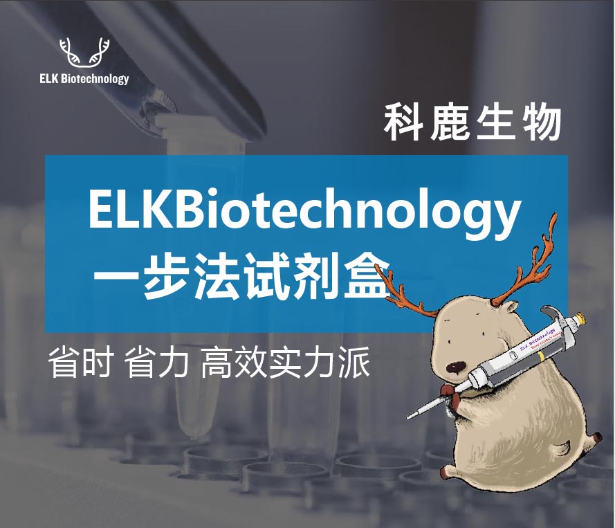 意大利贵宾会-贵宾会官方网站入口