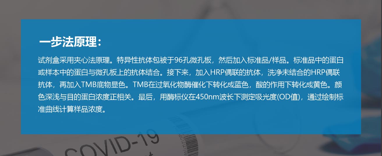 意大利贵宾会-贵宾会官方网站入口