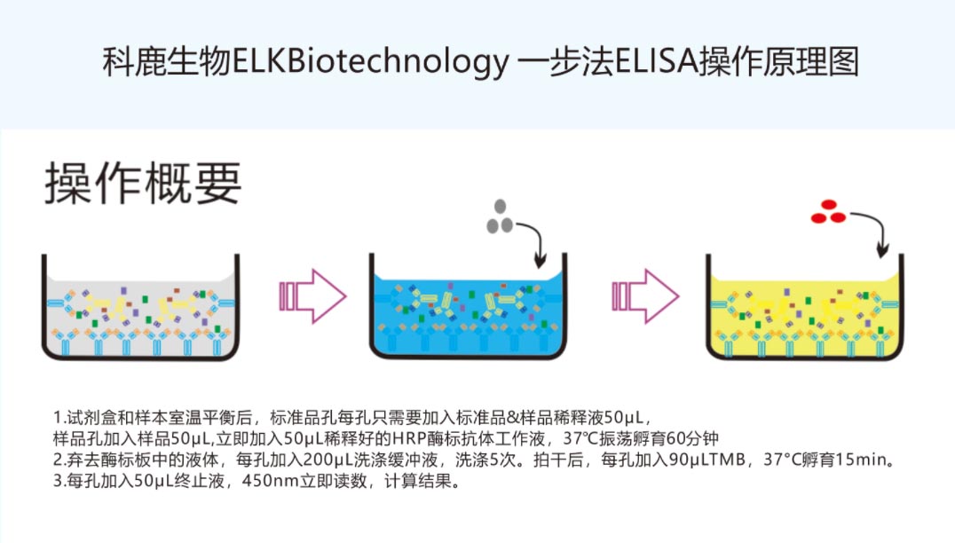 意大利贵宾会-贵宾会官方网站入口
