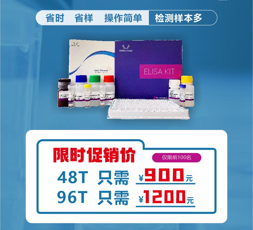 意大利贵宾会-贵宾会官方网站入口