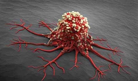 意大利贵宾会-贵宾会官方网站入口