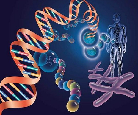 意大利贵宾会-贵宾会官方网站入口