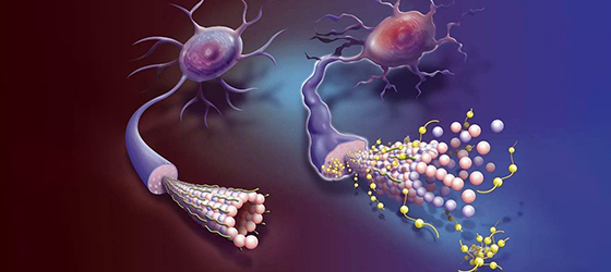 意大利贵宾会-贵宾会官方网站入口