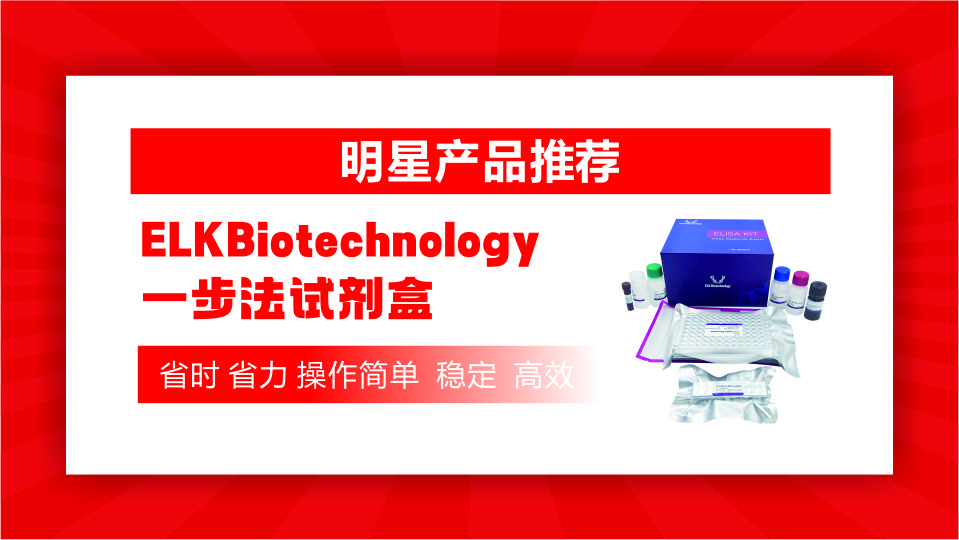 意大利贵宾会-贵宾会官方网站入口