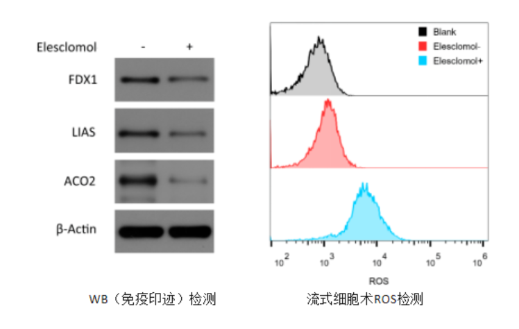 意大利贵宾会-贵宾会官方网站入口