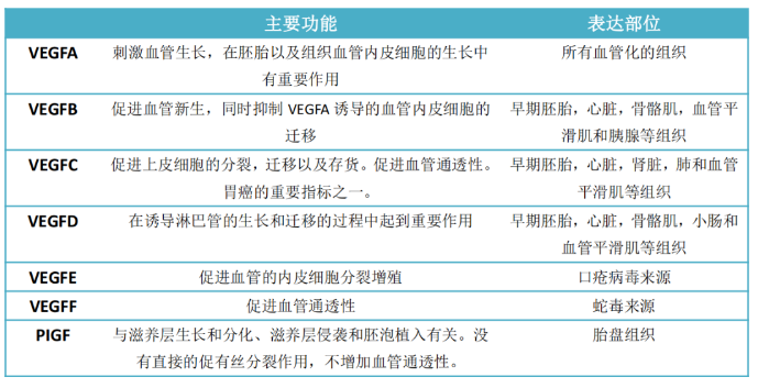 意大利贵宾会-贵宾会官方网站入口