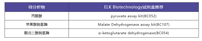 意大利贵宾会-贵宾会官方网站入口