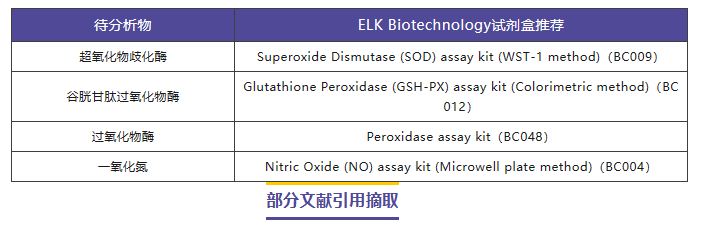 意大利贵宾会-贵宾会官方网站入口