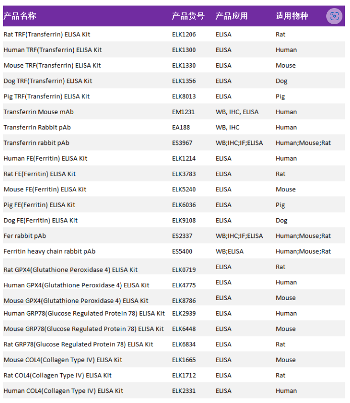 意大利贵宾会-贵宾会官方网站入口