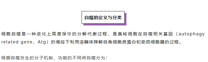 意大利贵宾会-贵宾会官方网站入口