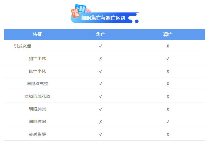意大利贵宾会-贵宾会官方网站入口