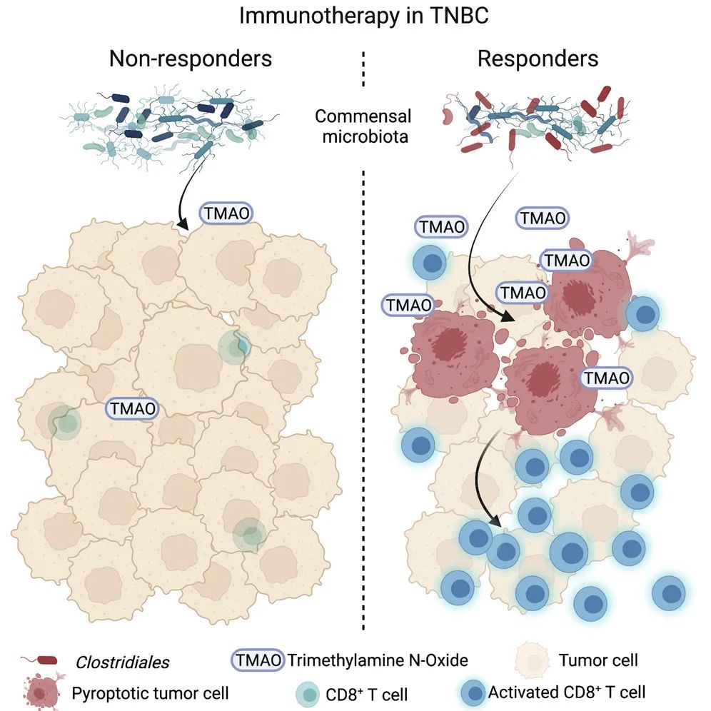 意大利贵宾会-贵宾会官方网站入口