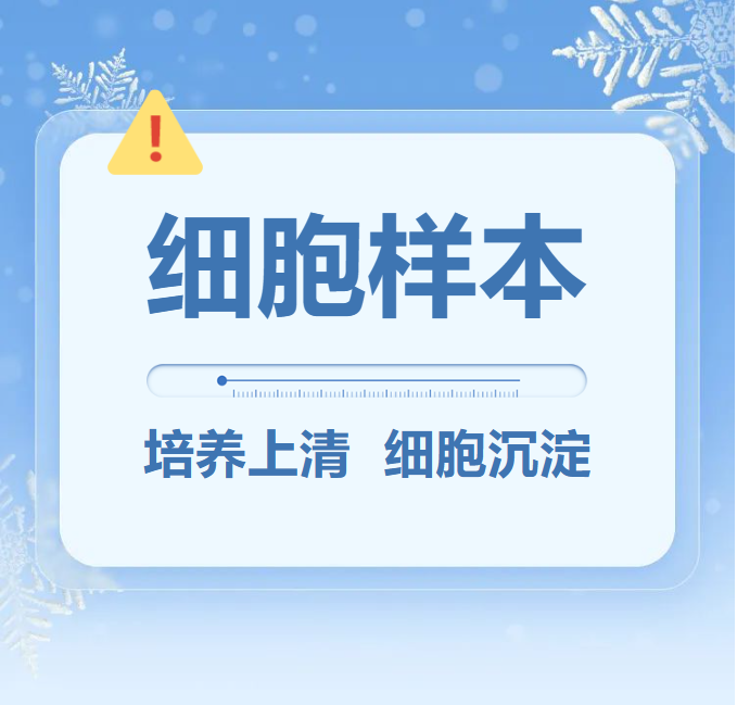 意大利贵宾会-贵宾会官方网站入口