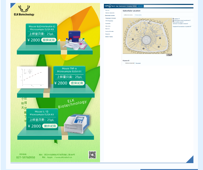 意大利贵宾会-贵宾会官方网站入口