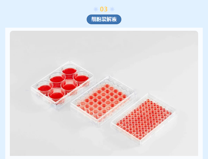 意大利贵宾会-贵宾会官方网站入口