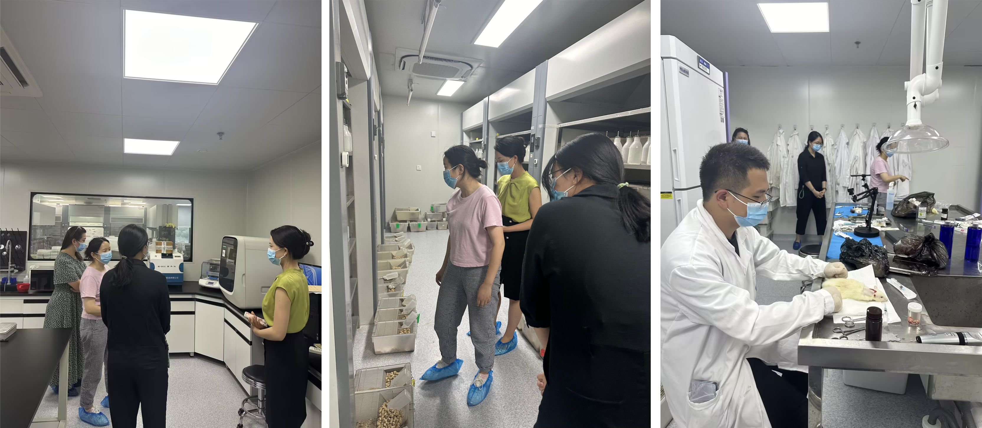 意大利贵宾会-贵宾会官方网站入口