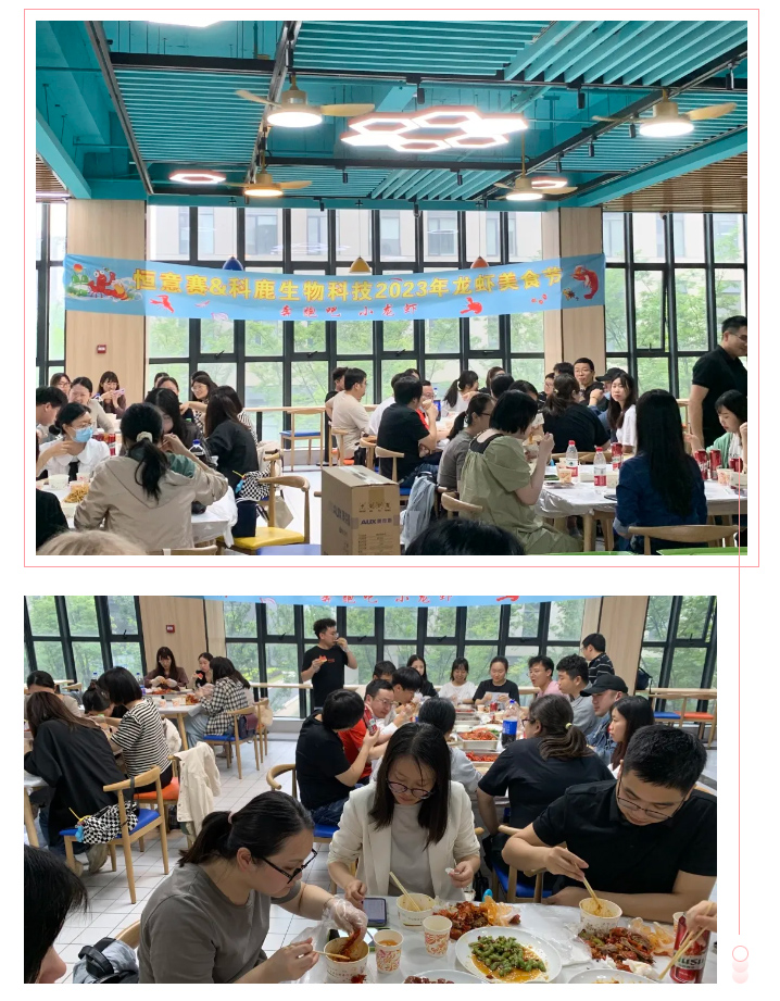 意大利贵宾会-贵宾会官方网站入口