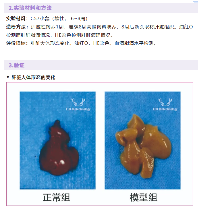 意大利贵宾会-贵宾会官方网站入口