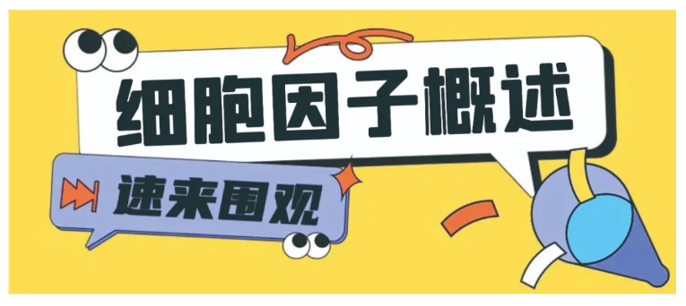 意大利贵宾会-贵宾会官方网站入口