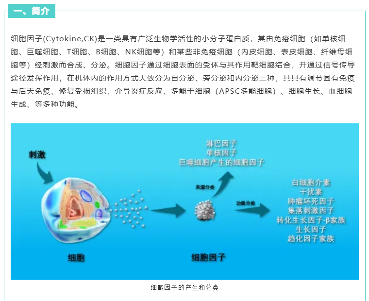 意大利贵宾会-贵宾会官方网站入口