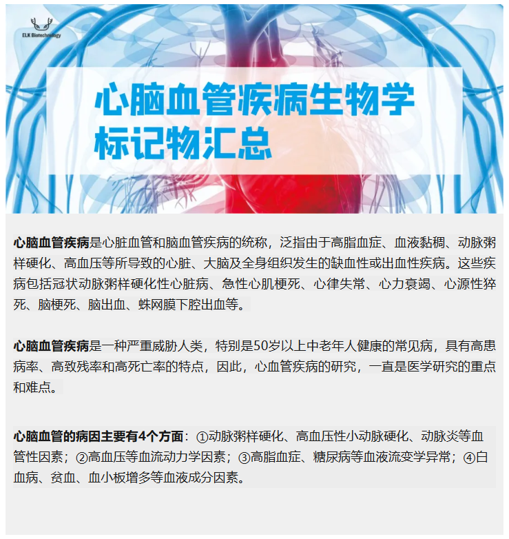 意大利贵宾会-贵宾会官方网站入口